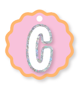 PEACH WAVY INITIAL BAG TAG